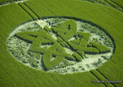 Sutton Veny, Wilts | 15th May 2025 | Barley | CL2
