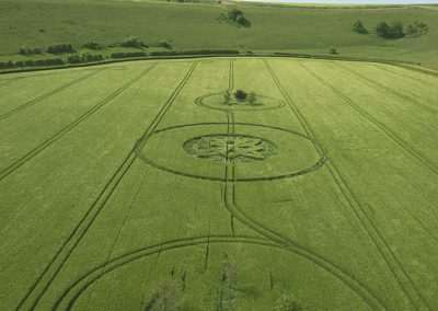 Sutton Veny, Wilts | 15th May 2025 | Barley | L2