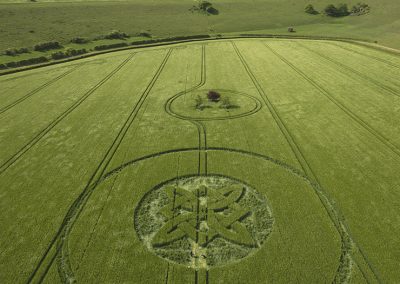 Sutton Veny, Wilts | 15th May 2025 | Barley | L3