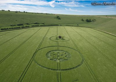 Sutton Veny, Wilts | 15th May 2025 | Barley | L4