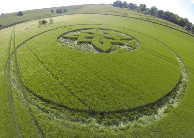 Sutton Veny 2025 by Dan Vidler 1