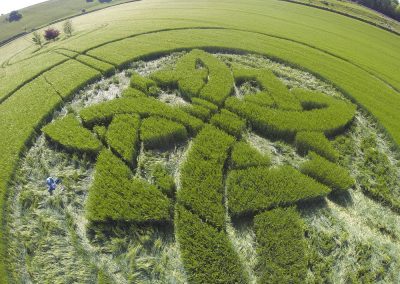 Sutton Veny 2025 by Dan Vidler 2