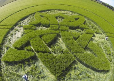 Sutton Veny 2025 by Dan Vidler 3