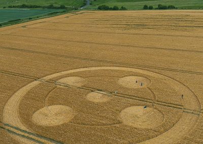 Hackpen Hill, Wills | 22nd June 2025 | Barley | HK2