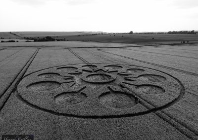Avebury, Wilts | 8th June 2025 | Barley | Hannah Kathleen B&W