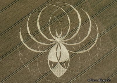 Cerne Abbas, Dorset | 10th July 2025 | Wheat | OH