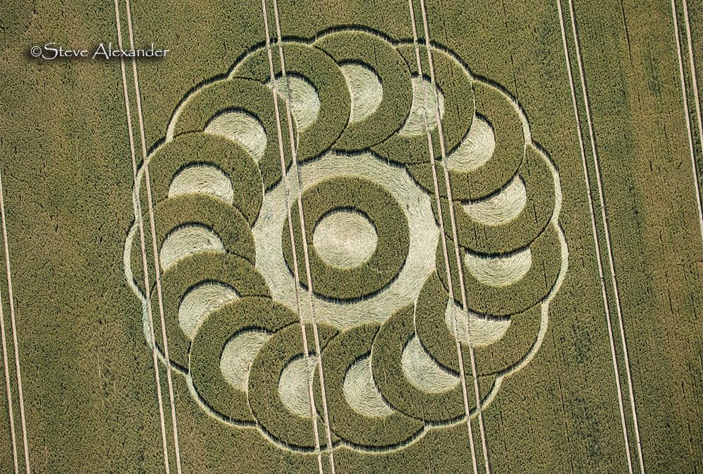 Ware, Devon (nr Lyme Regis) | 28th June 2025