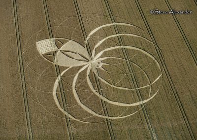 Cerne Abbas, Dorset | 10th July 2025 | Wheat | OH2