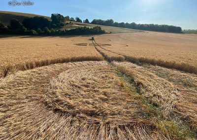 Ludwell, Wilts | 12th July 2025 | Wheat | GRND-Dan Vidler2
