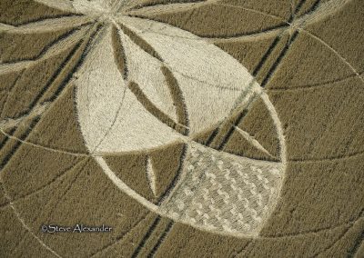 Cerne Abbas, Dorset | 10th July 2025 | Wheat | CL