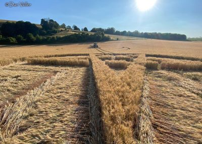 Ludwell, Wilts | 12th July 2025 | Wheat | GRND-Dan Vidler3