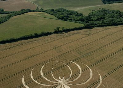 Cerne Abbas, Dorset | 10th July 2025 | Wheat | L