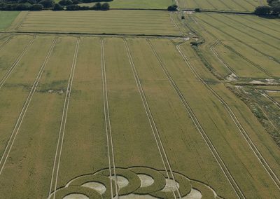 Ware Farm, Devon 28th June 2025 | Wheat | L