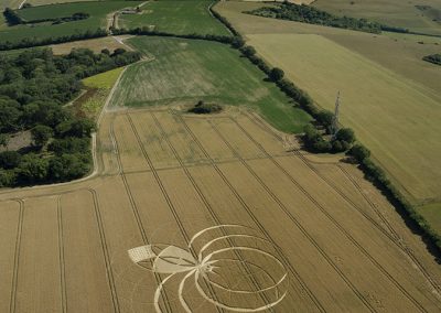 Cerne Abbas, Dorset | 10th July 2025 | Wheat | L2