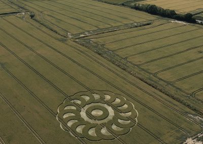 Ware Farm, Devon 28th June 2025 | Wheat | LL