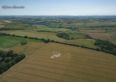Cerne Abbas, Dorset | 10th July 2025 | Wheat | OHH