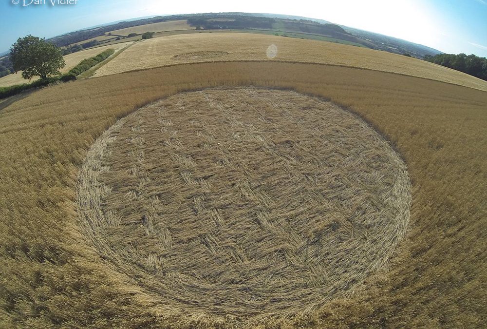 Castley Hill, nr Somerton | 6th July 2025