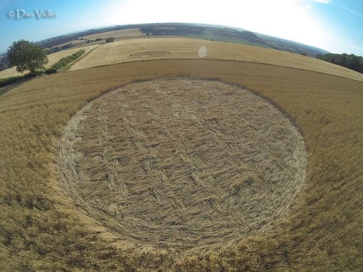 Castley Hill, nr Somerton | 6th July 2025
