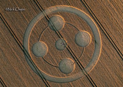 Hackpen Hill, Wills | 22nd June 2025 | Barley | NC1
