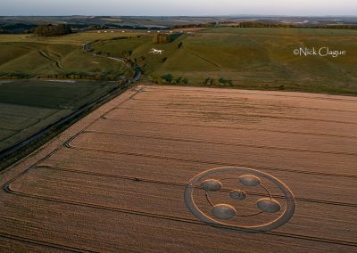 Hackpen Hill, Wills | 22nd June 2025 | Barley | NC3