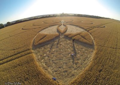 Cerne Abbas, Dorset | 10th July 2025 | Wheat | DV1