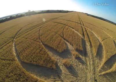 Cerne Abbas, Dorset | 10th July 2025 | Wheat | DV2