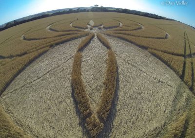 Cerne Abbas, Dorset | 10th July 2025 | Wheat | DV3