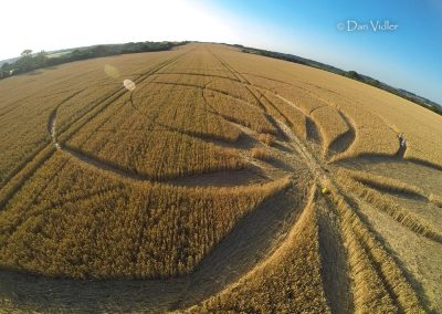 Cerne Abbas, Dorset | 10th July 2025 | Wheat | DV4