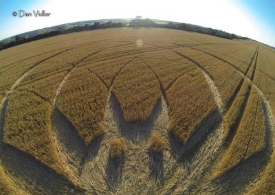 Cerne Abbas, Dorset | 10th July 2025 | Wheat | DV5