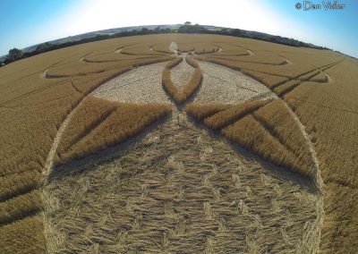 Cerne Abbas, Dorset | 10th July 2025 | Wheat | DV6