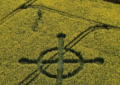 Bondip Hill, Ilchester, Somerset | 4th April 2026 | Oilseed Rape | OH
