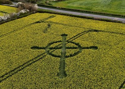Bondip Hill, Ilchester, Somerset | 4th April 2026 | Oilseed Rape | L