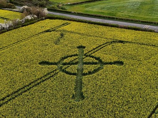 Ilchester, Somerset, Wilts | 4th April 2026