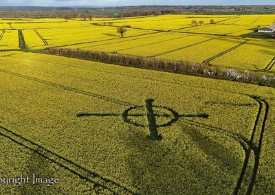 Bondip Hill, Ilchester, Somerset | 4th April 2026 | Oilseed Rape | L2