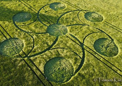 Kingweston, Somerset | 10-13 May 2026 | Barley | OH TK