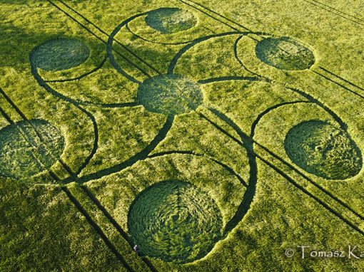 Kingweston, Somerset | 10th May 2026