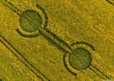 Waden Hill, Wilts | 29th April 2026 | Oilseed rape | OH 1