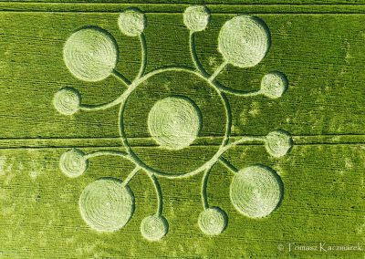 White Sheet Hill, Wilts 22nd May 2026 | Barley | TK1