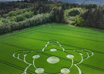 Jack's Plantation, Wilts | 8th May 2026 | Barley | L BB