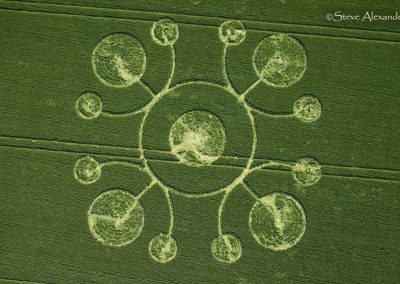 White Sheet Hill, Wilts 22nd May 2026 | Barley | OH4