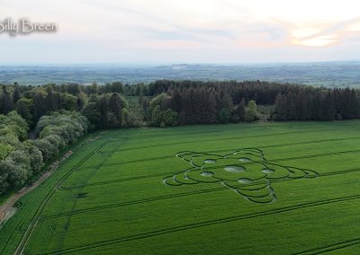 Jack's Plantation, Wilts | 8th May 2026 | Barley | L2 BB