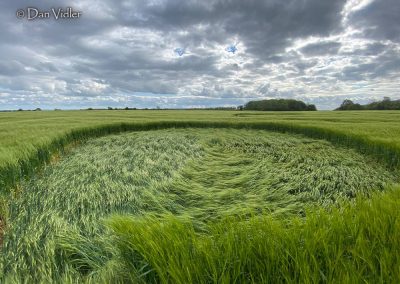 Kingweston, Somerset | 10-13 May 2026 | Barley | OH DV3
