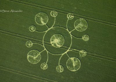 White Sheet Hill, Wilts 22nd May 2026 | Barley | OH2