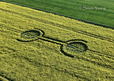 Waden Hill, Wilts | 29th April 2026 | Oilseed rape | L2