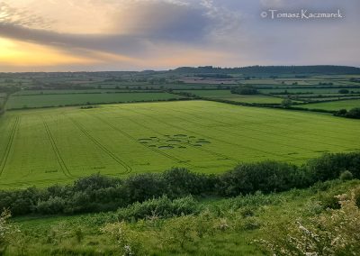 White Sheet Hill, Wilts 22nd May 2026 | Barley | TK4