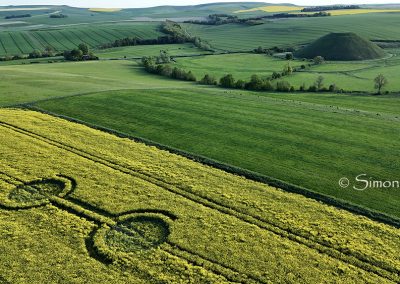 Waden Hill, Wilts | 29th April 2026 | Oilseed rape | OH L3