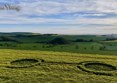 Waden Hill, Wilts | 29th April 2026 | Oilseed rape | L4