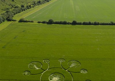 White Sheet Hill, Wilts 22nd May 2026 | Barley | L2