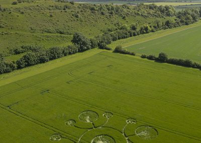 White Sheet Hill, Wilts 22nd May 2026 | Barley | L