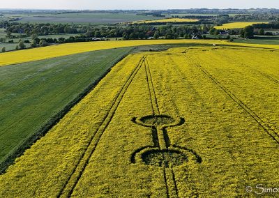 Waden Hill, Wilts | 29th April 2026 | Oilseed rape | L5